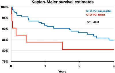 The impact of successful chronic total occlusion percutaneous coronary intervention on clinical outcomes: a tertiary single-center analysis